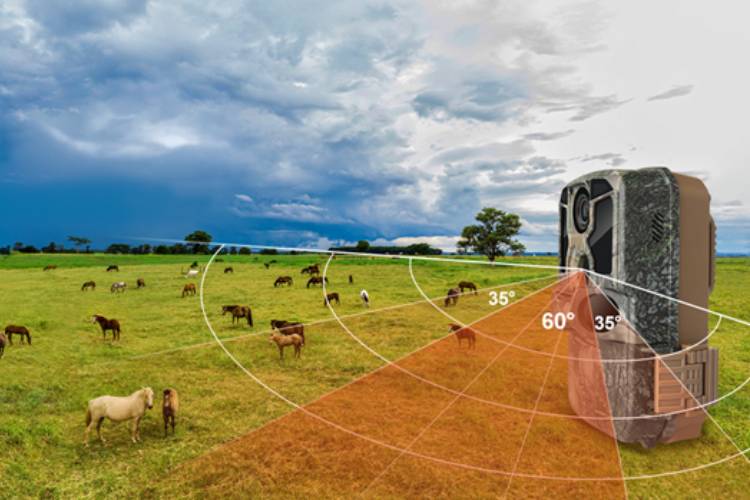 بهترین کیفیت تصاویر در دوربین تلهای Hiicam K-228