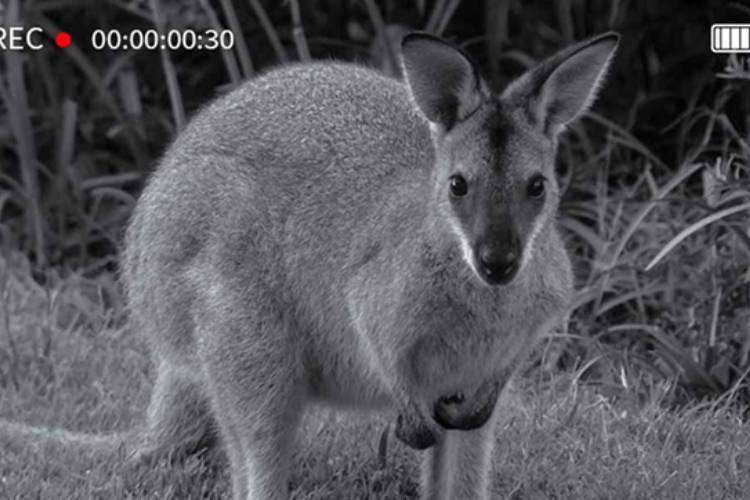 دوربین تلهای Hiicam K-228 با