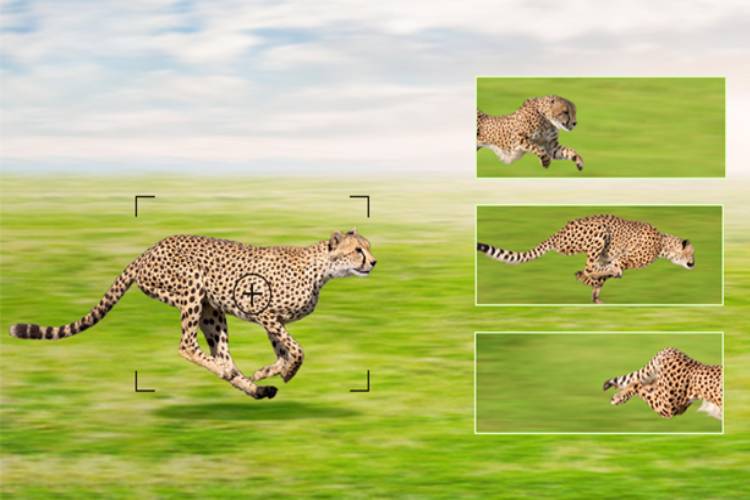 دوربین تلهای Hiicam K-228 با