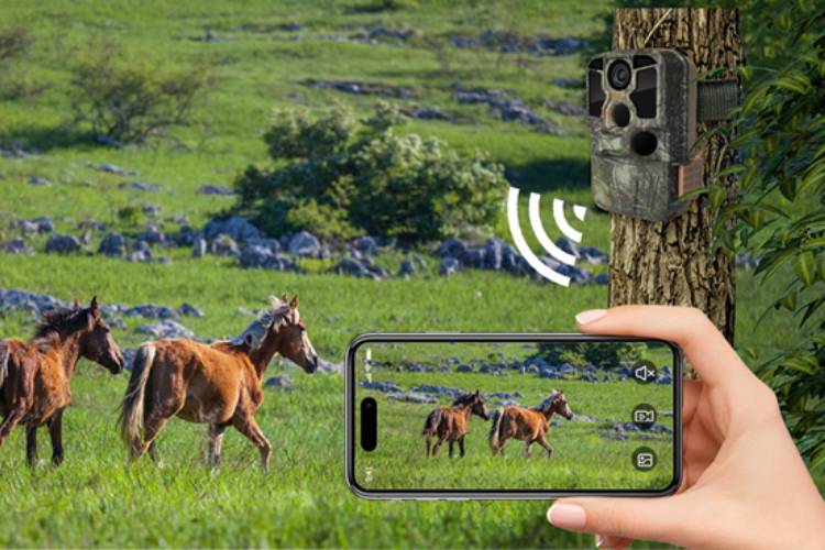 دوربین تلهای Hiicam K-228 با